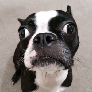 Meet your Posher, Natalie